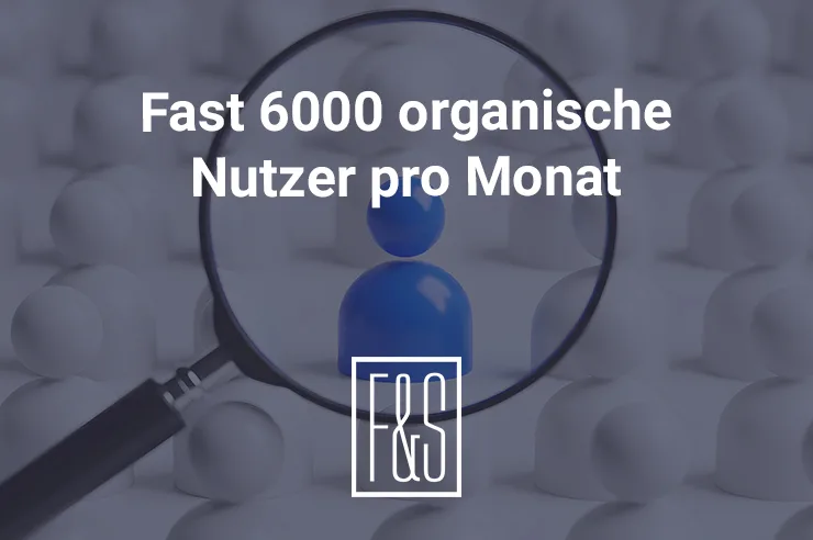 Lupe hebt blaue Figur hervor, Text "Fast 6000 organische Nutzer pro Monat", F&S Steuerberatung Logo unten.